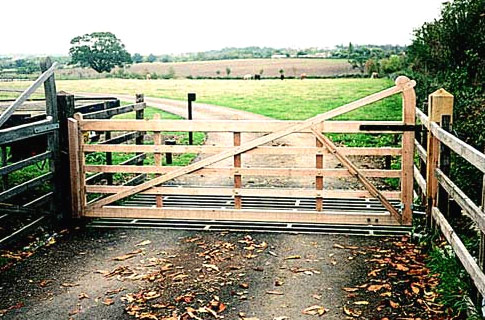 Wrought Iron Gates