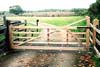Wrought Iron Gate 4