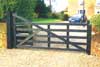 Wrought Iron Gate 9